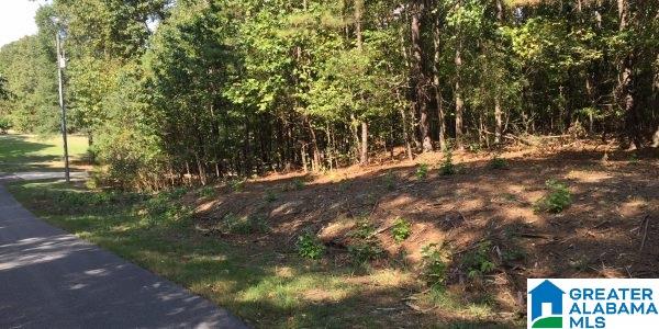 Jasmine Hill Road Pelham, AL 35124 - Photo 1 of 6