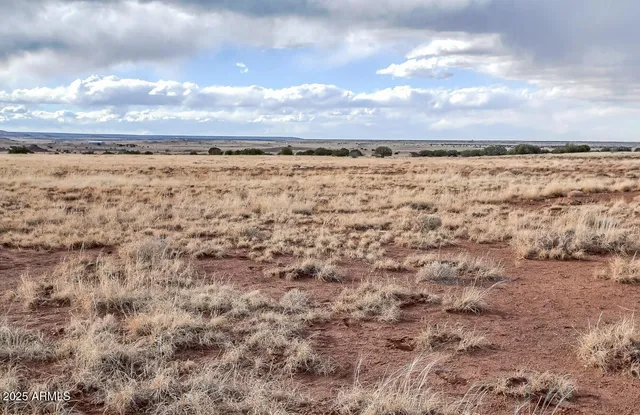 $12,999 | 36 County Road N5576, Concho, AZ 85924