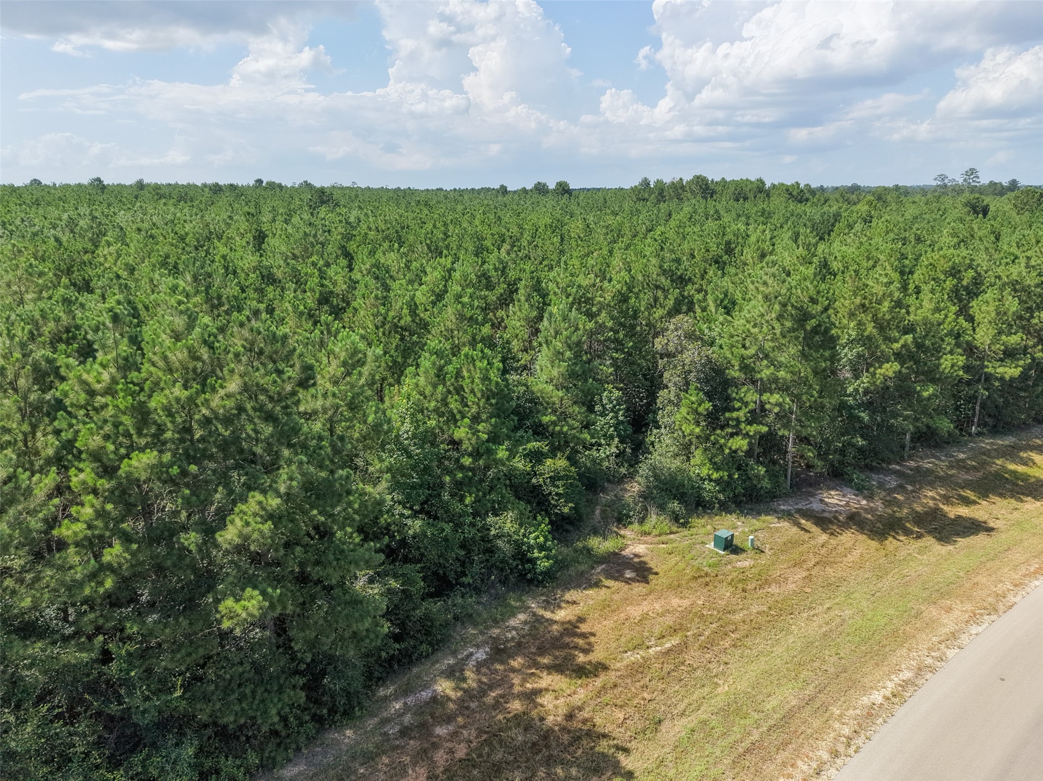 15785 Woodlife Road Willis, TX 77378 - Photo 11 of 12
