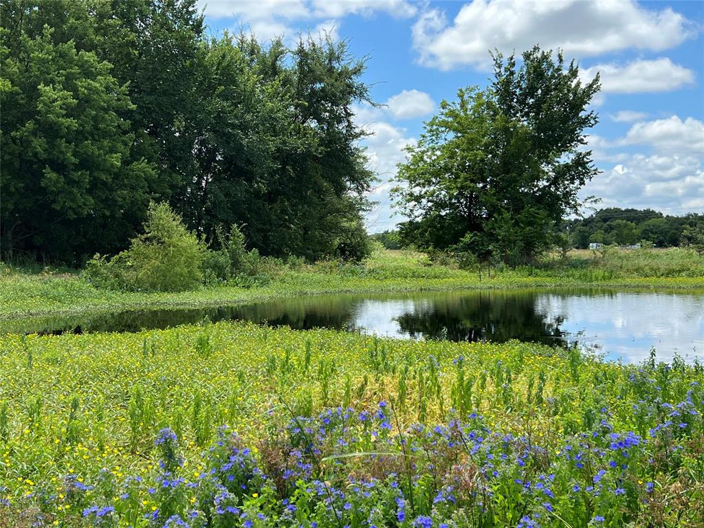 a view of a lake with a house in the background