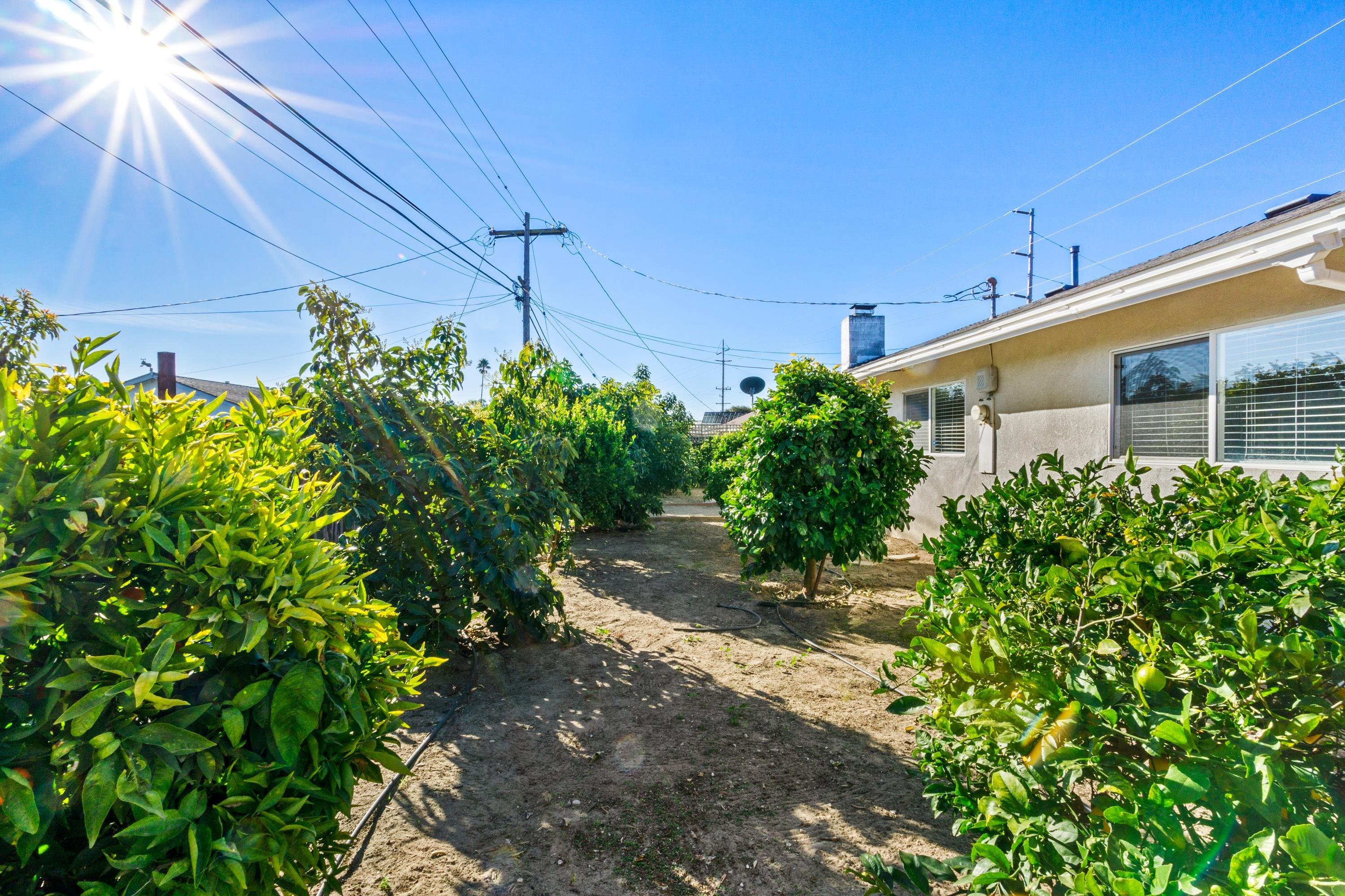 3316 Rucker Road Lompoc, CA 93436 - Photo 19 of 24 a backyard of a house with lots of green space