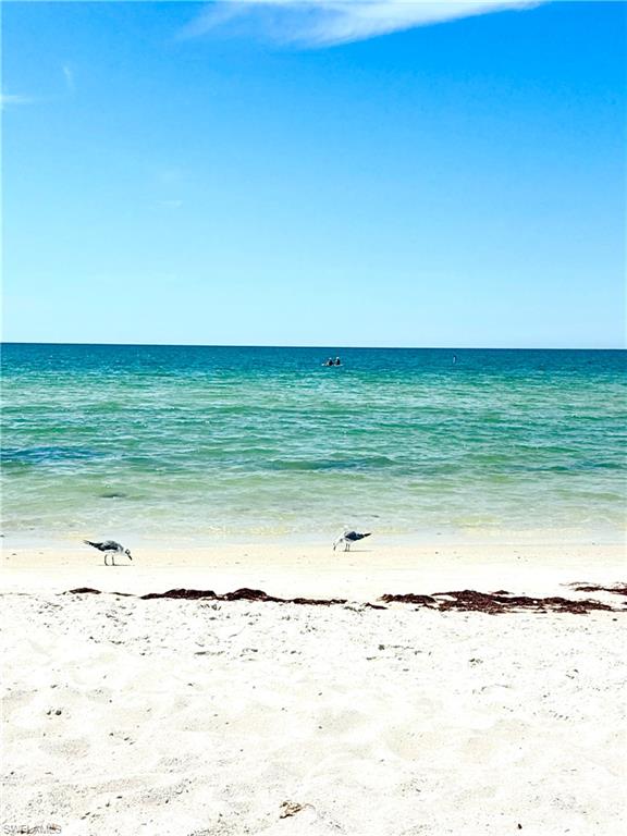 913 Carrick Bend Circle, Unit 202 Naples, FL 34110 - Photo 39 of 44 a view of an ocean beach