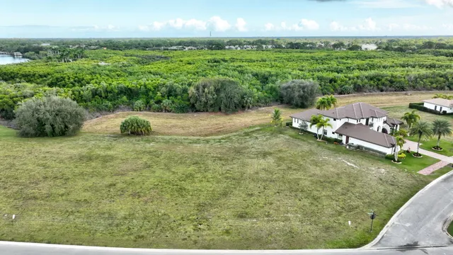 a view of a backyard with plants and lake