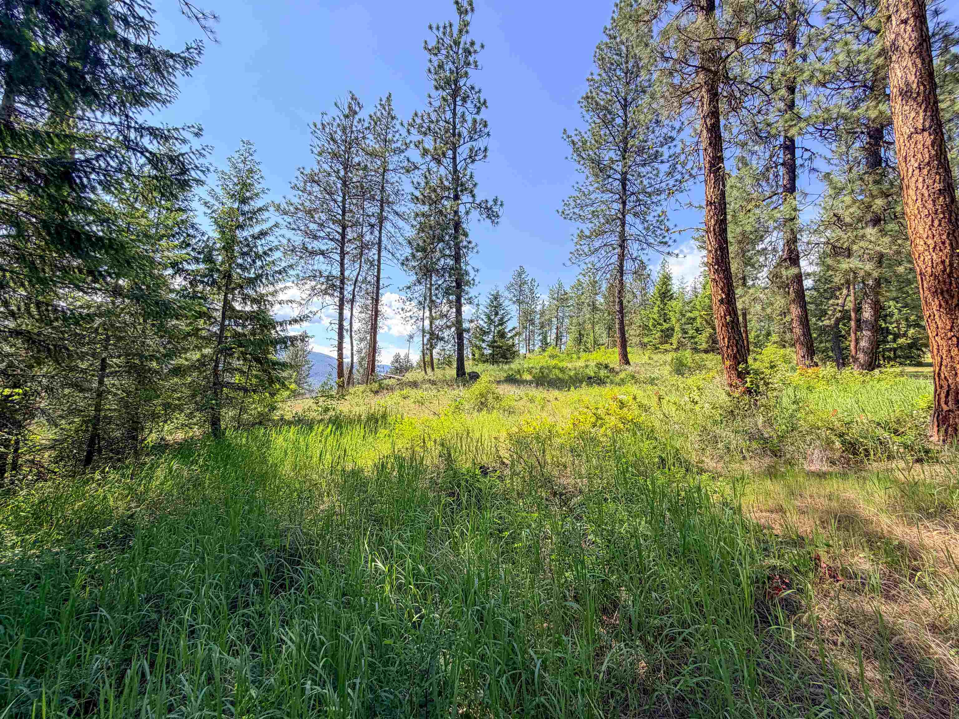3434 A Rockcut Road Kettle Falls, WA 99141 - Photo 9 of 50