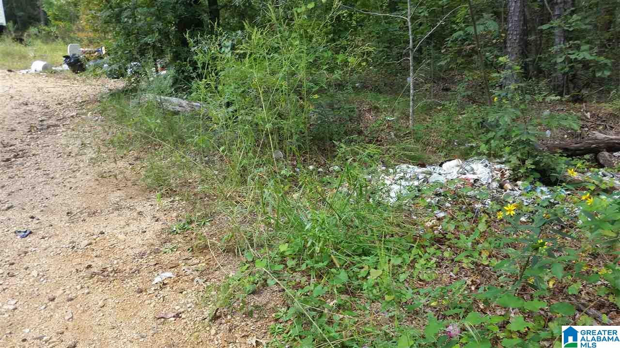 3475 Camp Winnataska Road, Unit 1 Pell City, AL 35128 - Photo 5 of 7