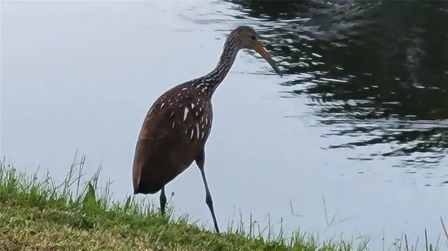 a view of lake with a yard