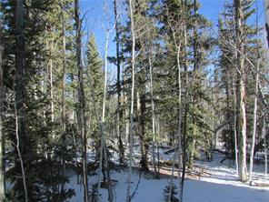 637 Smith And Wesson Road Como, CO 80432 - Photo 1 of 9 Gallery Image 1