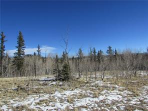 637 Smith And Wesson Road Como, CO 80432 - Photo 2 of 9 Gallery Image 2