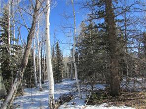 637 Smith And Wesson Road Como, CO 80432 - Photo 4 of 9 Gallery Image 4