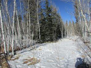 637 Smith And Wesson Road Como, CO 80432 - Photo 5 of 9 Gallery Image 5