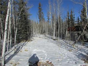 637 Smith And Wesson Road Como, CO 80432 - Photo 7 of 9 Gallery Image 7