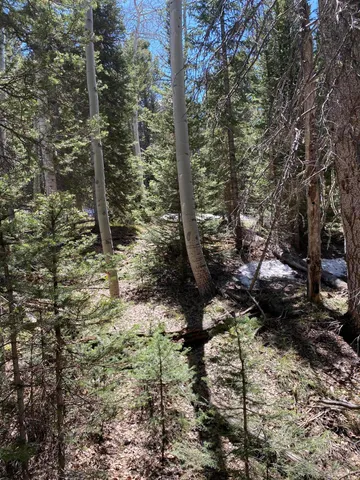 a view of outdoor space