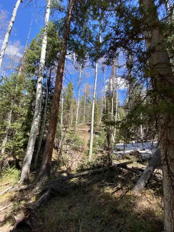 a view of a city with large trees