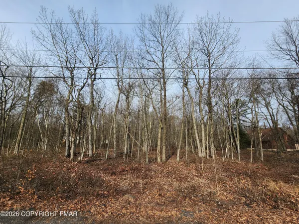 $26,000 | Lot D419 Panther Run Road, Jim Thorpe, PA 18229