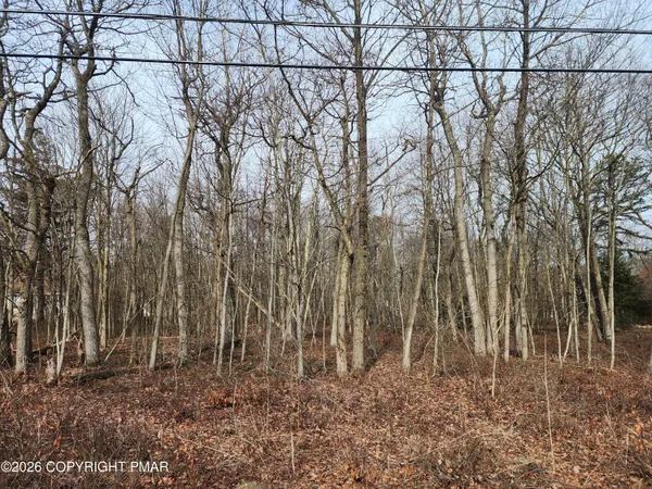 $26,000 | Lot D419 Panther Run Road, Jim Thorpe, PA 18229