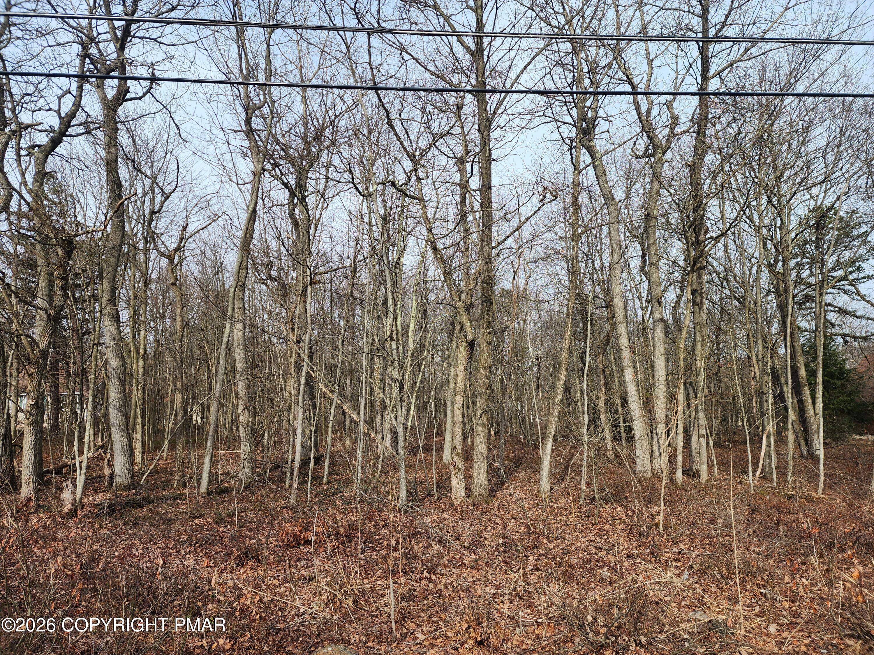 Lot D419 Panther Run Road Jim Thorpe, PA 18229 - Photo 3 of 4 D419 Panther Run Rd