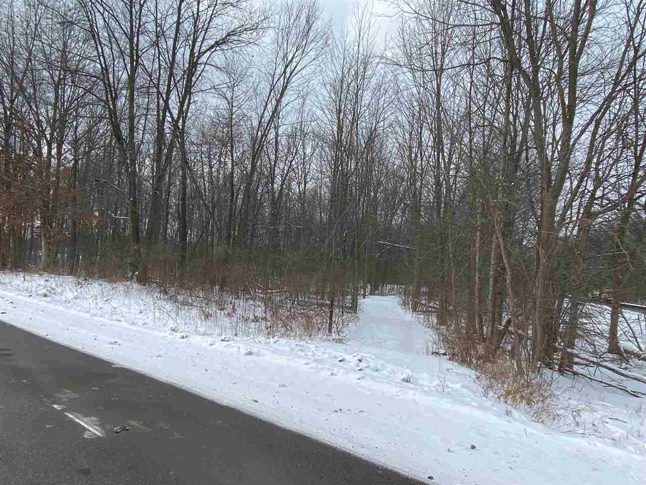 0 State Road Morrice, MI 48857 - Photo 1 of 8