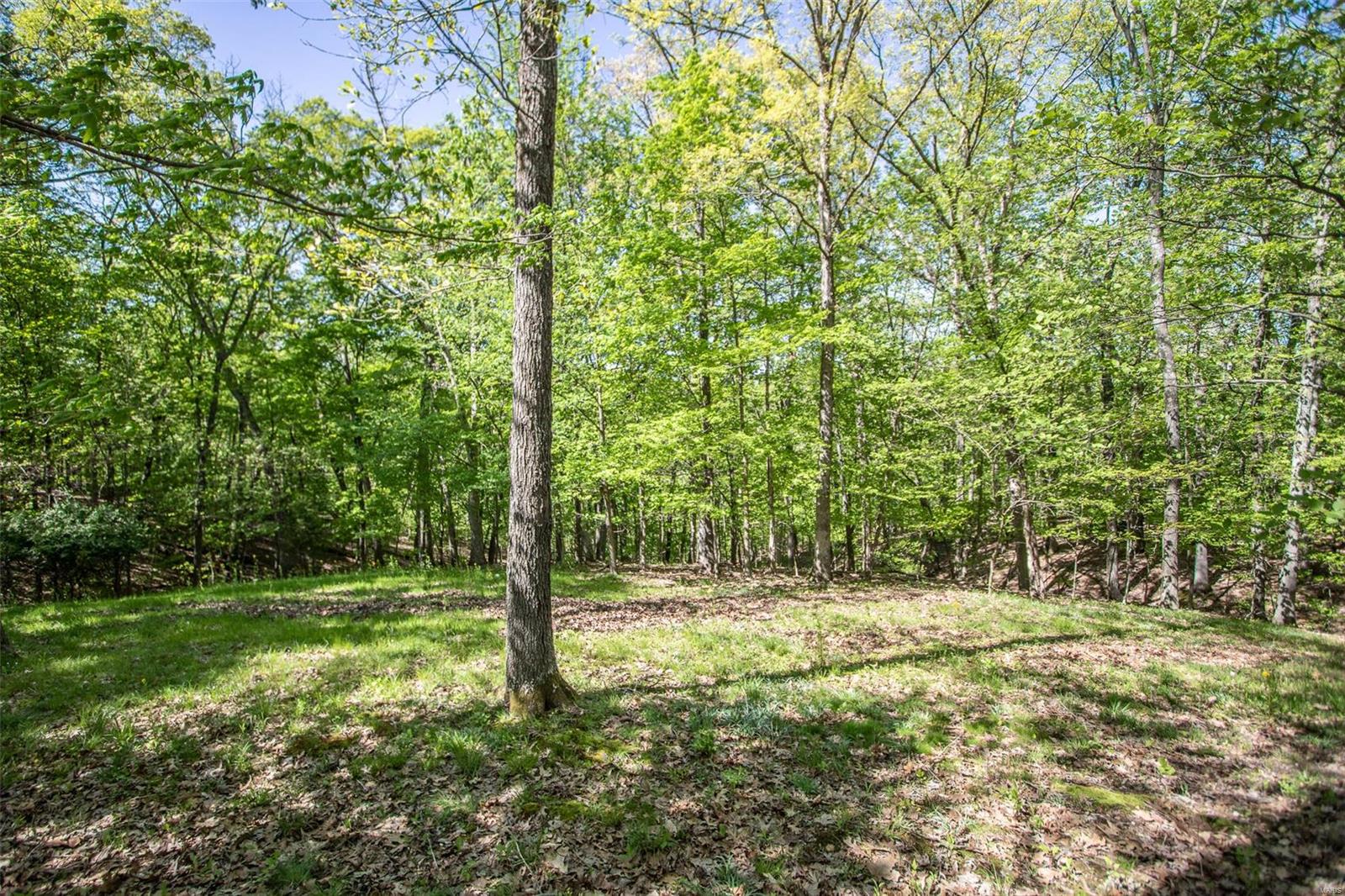 3816 Rooster Ridge Lane Defiance, MO 63341 - Photo 91 of 94 Gallery Image 91