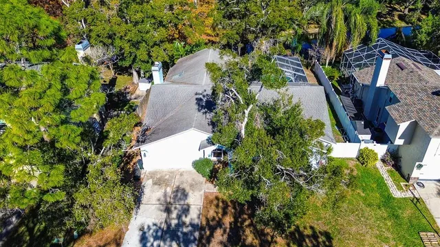 a view of a yard with plants