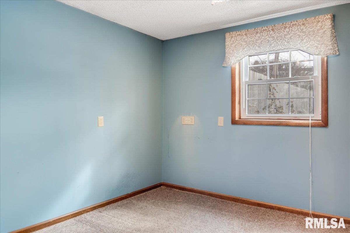 12 St Marys Court Springfield, IL 62702 - Photo 14 of 30