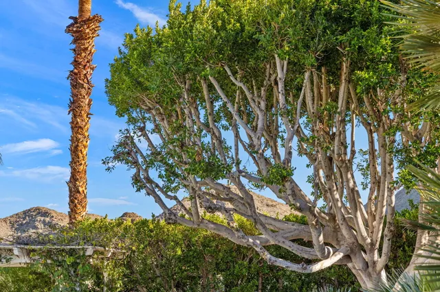 a living room with furniture a flat screen tv and a floor to ceiling window