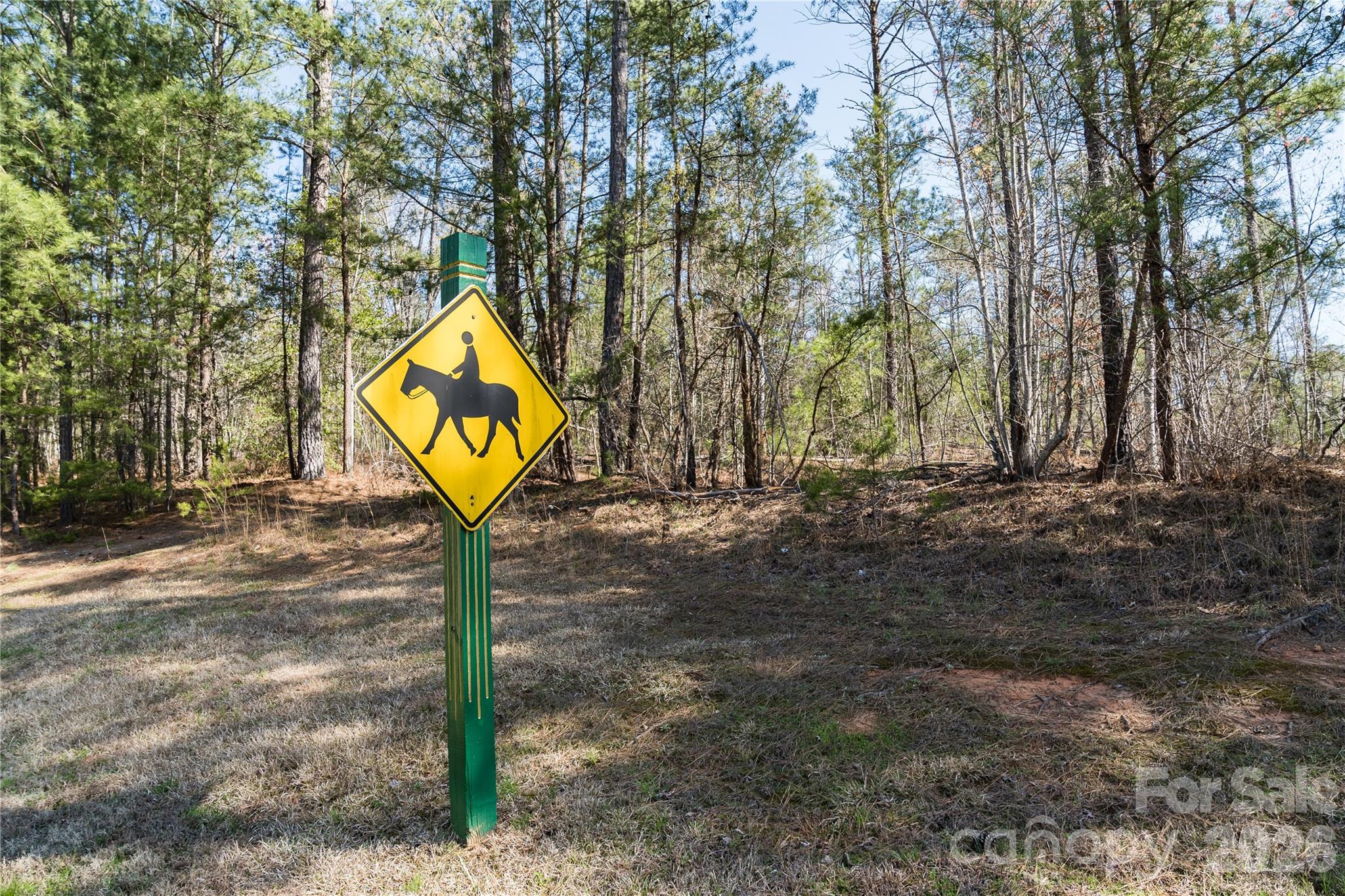 37 Peninsula Drive Mill Spring, NC 28756 - Photo 11 of 13