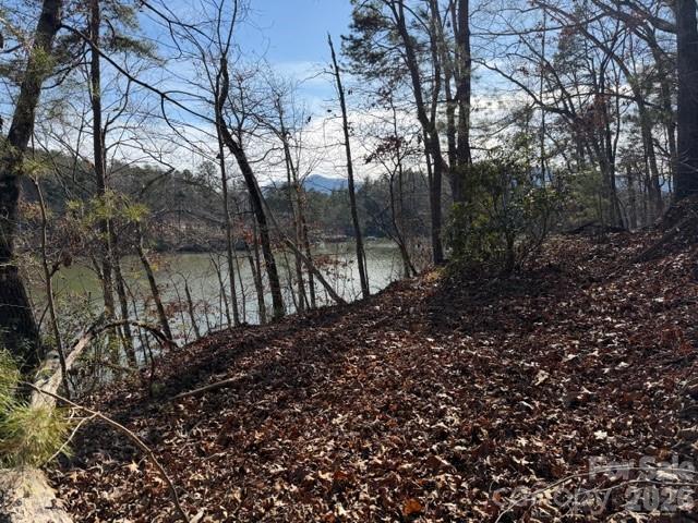 37 Peninsula Drive Mill Spring, NC 28756 - Photo 2 of 13