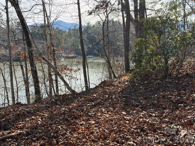 37 Peninsula Drive Mill Spring, NC 28756 - Photo 4 of 13