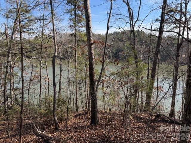 37 Peninsula Drive Mill Spring, NC 28756 - Photo 5 of 13