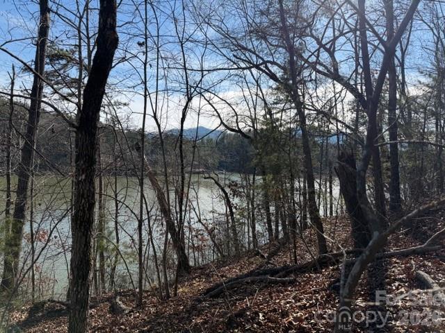 37 Peninsula Drive Mill Spring, NC 28756 - Photo 6 of 13