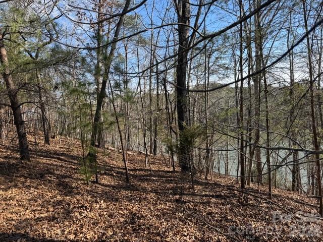 37 Peninsula Drive Mill Spring, NC 28756 - Photo 7 of 13