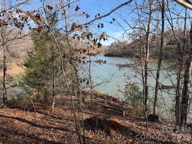 37 Peninsula Drive Mill Spring, NC 28756 - Photo 10 of 13