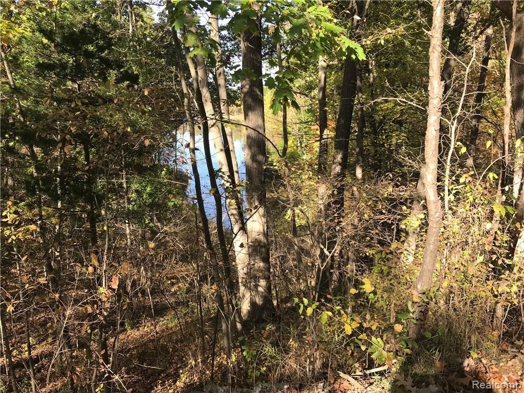 0 Longden Pinckney, MI 48169 - Photo 5 of 5