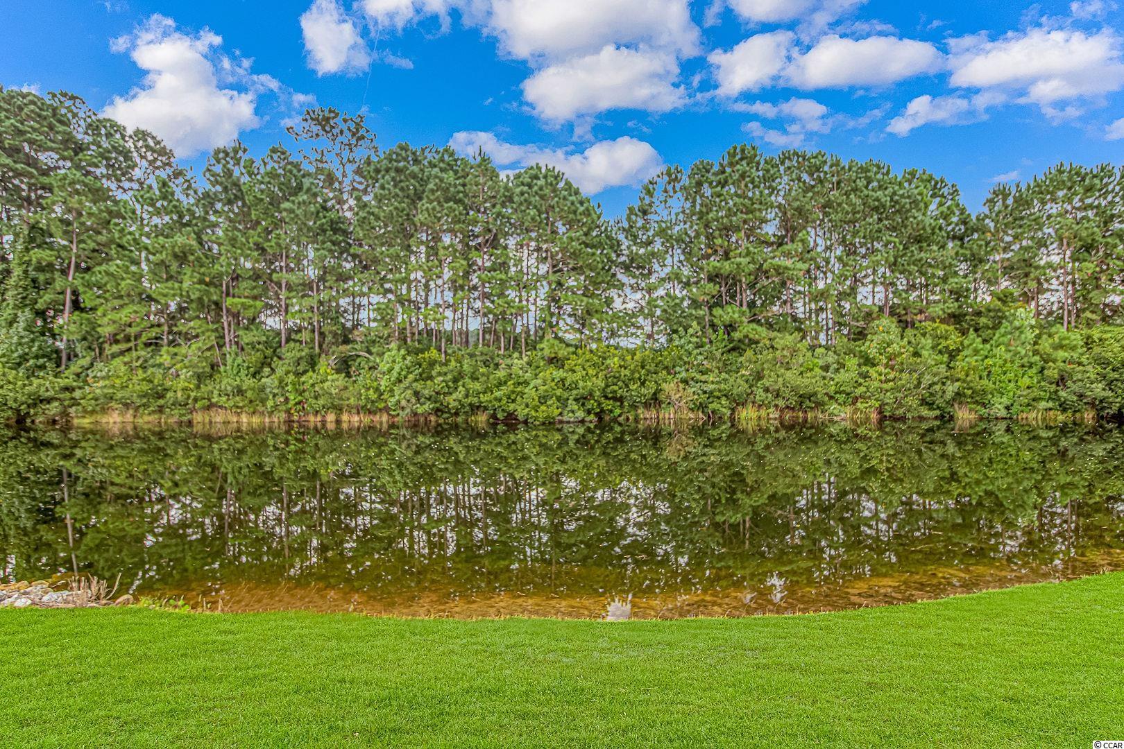 357 Highfield Loop Myrtle Beach, SC 29579 - Photo 22 of 25 Gallery Image 22