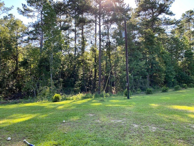 3088 King Road Liberty, MS 39645 - Photo 28 of 38 Photo 28
