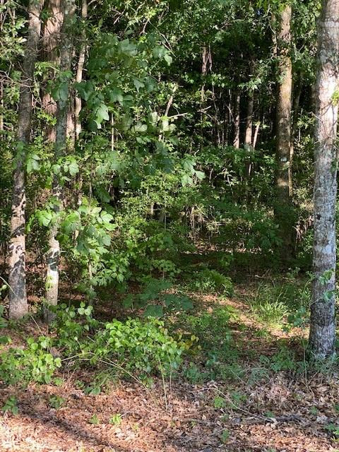 3088 King Road Liberty, MS 39645 - Photo 31 of 38 Photo 31