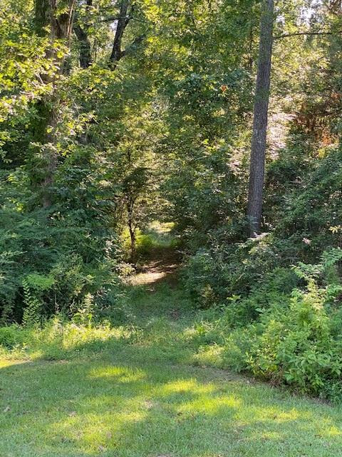 3088 King Road Liberty, MS 39645 - Photo 35 of 38 Photo 35