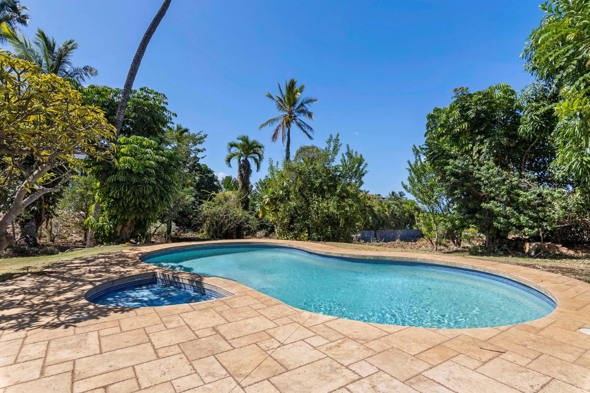 3124 Nahenahe Place Kihei, HI 96753 - Photo 41 of 50 a view of a swimming pool and a yard