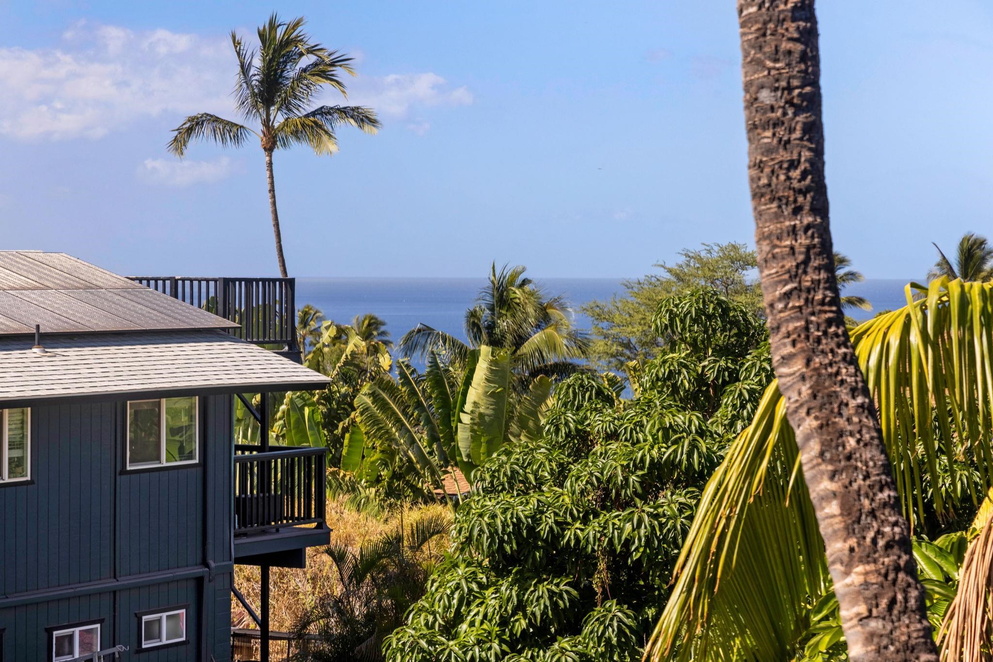 3124 Nahenahe Place Kihei, HI 96753 - Photo 45 of 50