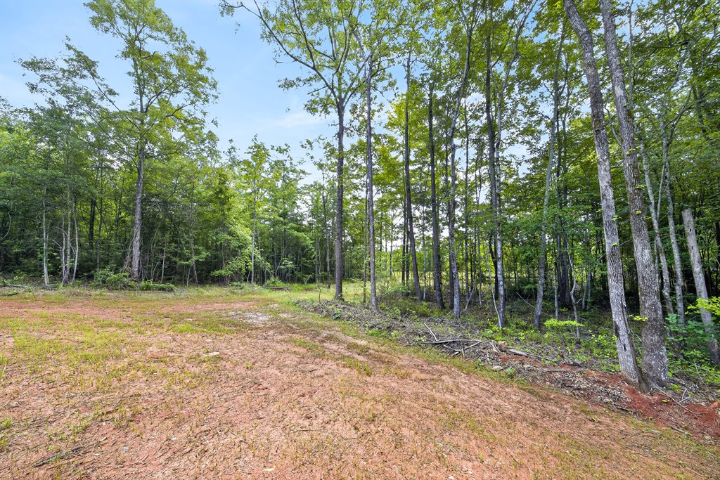 181 Twin Lakes Road Waverly Hall, GA 31831 - Photo 6 of 34