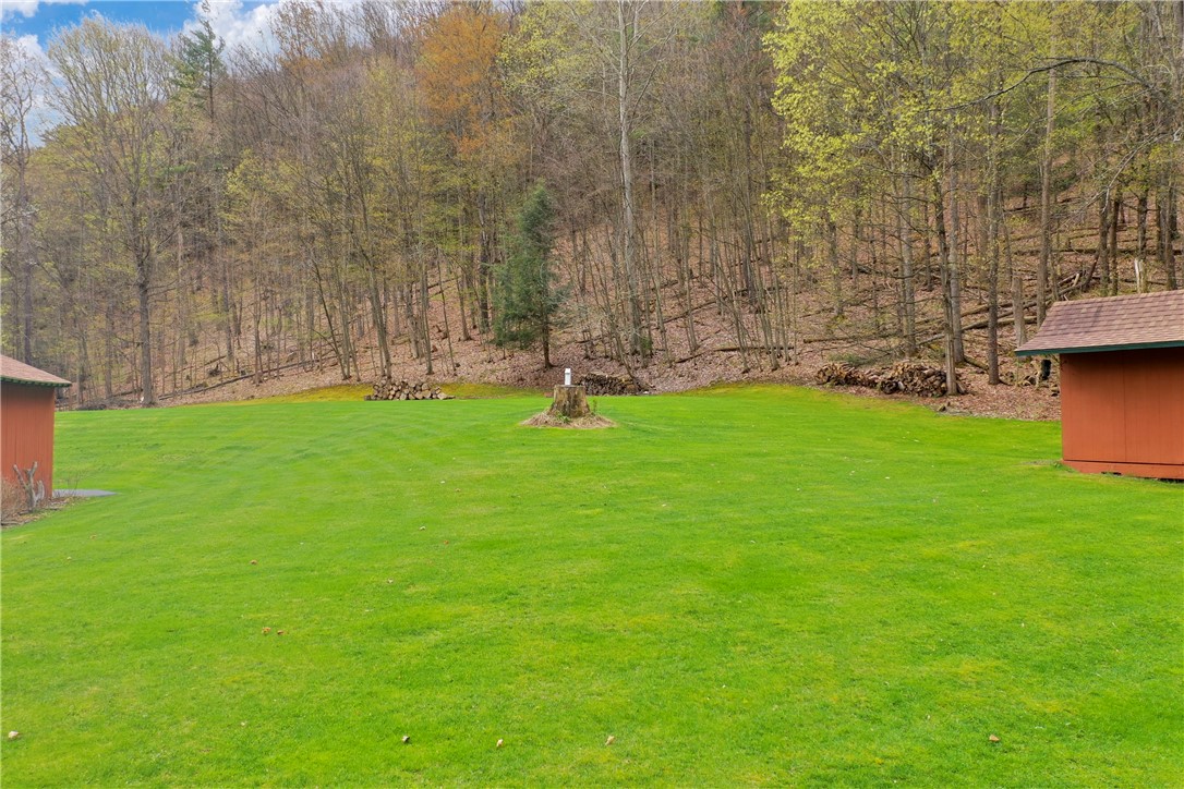 6759 Magee Road Bath, NY 14810 - Photo 48 of 50