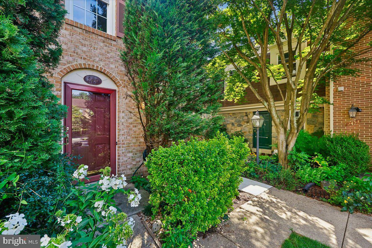 Front Walkway