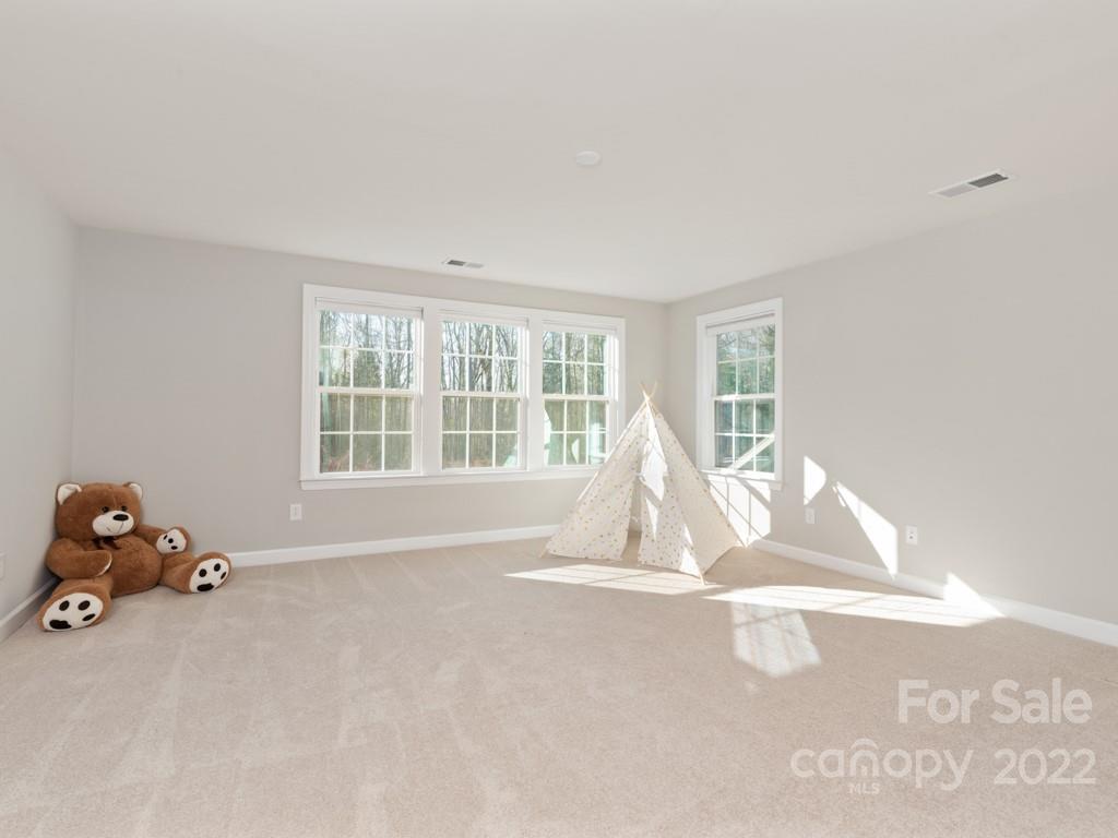 1335 Bryson Gap Drive Fort Mill, SC 29715 - Photo 22 of 29