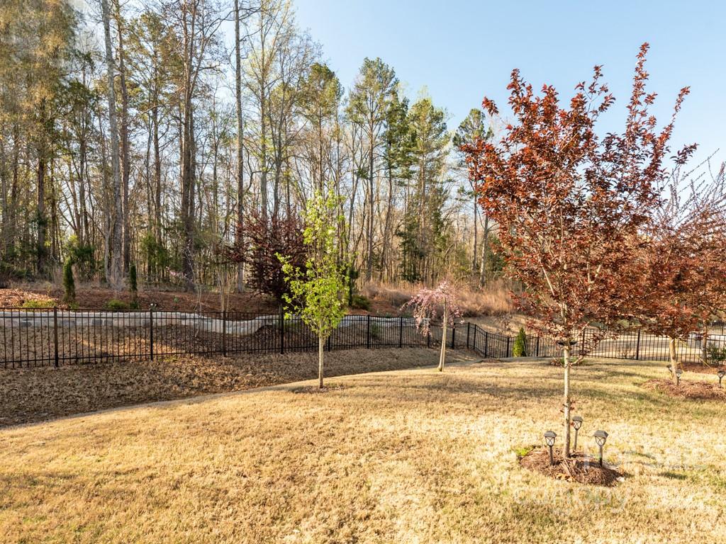 1335 Bryson Gap Drive Fort Mill, SC 29715 - Photo 28 of 29