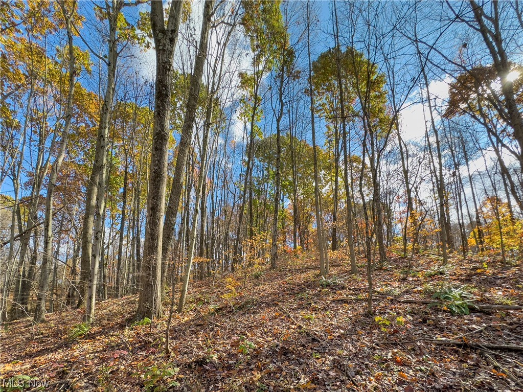 Windy Ridge Road New Concord, OH 43762 - Photo 23 of 34 Gallery Image 23
