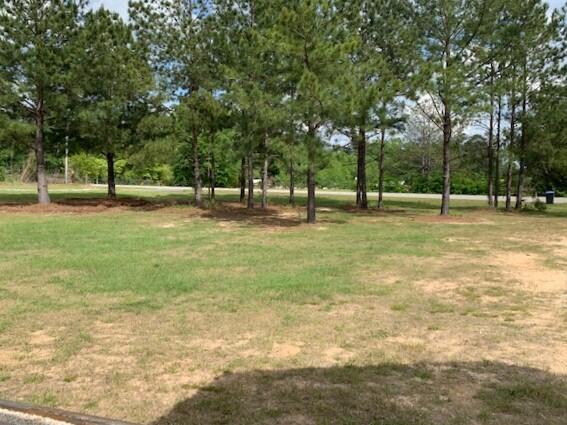 1285 Moose Club Road Thomson, GA 30824 - Photo 19 of 21 View from front porch