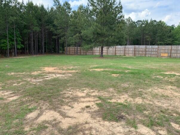 1285 Moose Club Road Thomson, GA 30824 - Photo 20 of 21 Backyard