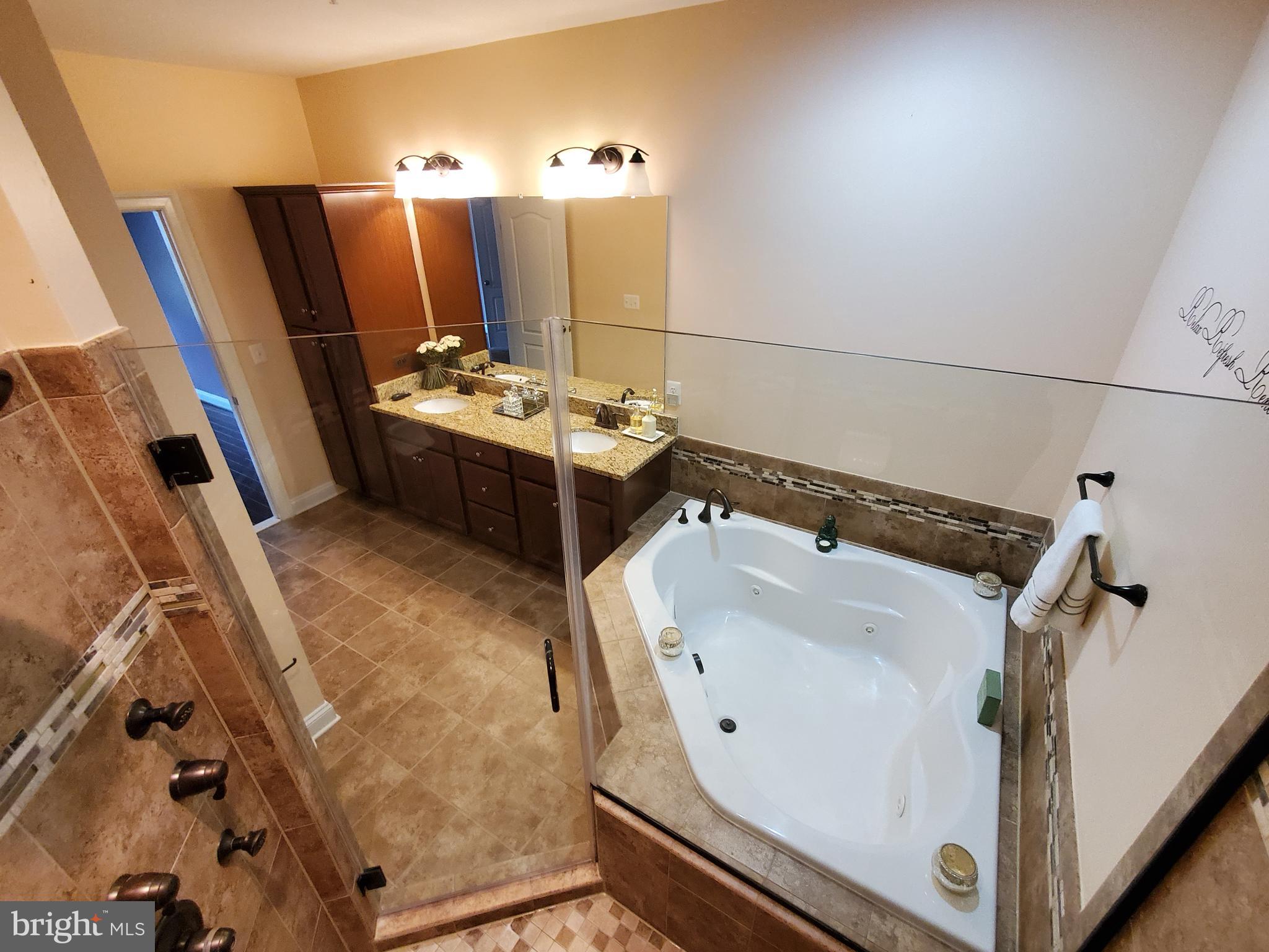 503 Rampart Way, Unit 16 Oxon Hill, MD 20745 - Photo 12 of 35 a bathroom with a sink and mirror with bathtub