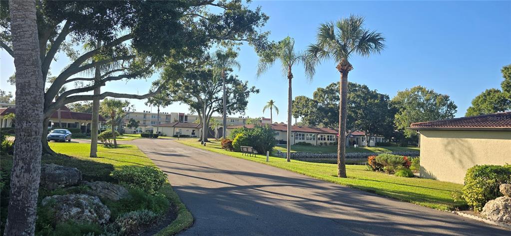 12200 Vonn Road, Unit 1305 Largo, FL 33774 - Photo 4 of 22 a view of a park with palm trees