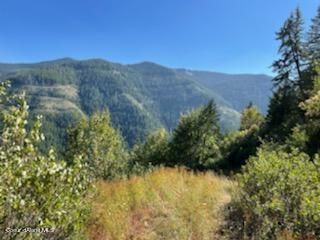 34.38 Acres Road Wallace, ID 83873 - Photo 1 of 37 NKA Burke Rd. 34.38 Acres
